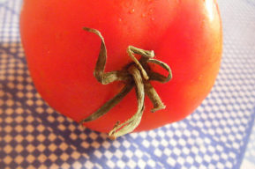 Dieta del tomate