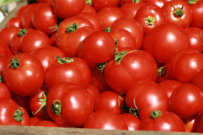 Propiedades nutricionales del tomate