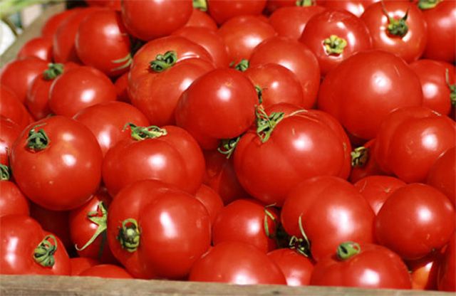 Lee más sobre el artículo Propiedades nutricionales del tomate