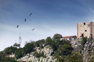 Lee más sobre el artículo Parque Nacional del Monfragüe y el avistamiento de aves