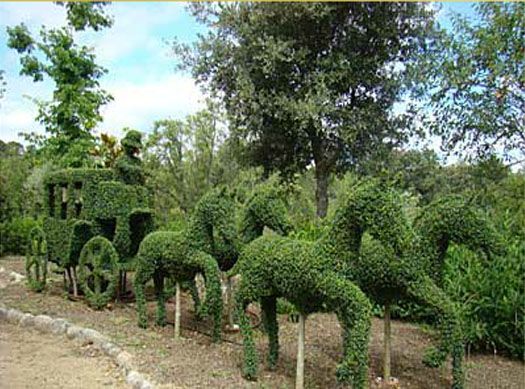 Lee más sobre el artículo Un bosque encantado cerca de Madrid