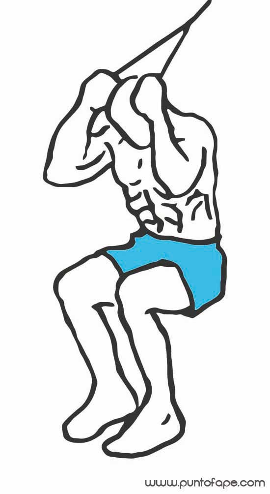 Lee más sobre el artículo Lucir abdominales definidos: encogimientos