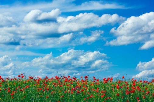 Lee más sobre el artículo La montaña en primavera
