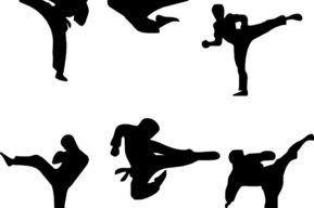 Artes Marciales o Deportes de Combate