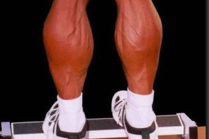 Lee más sobre el artículo Estiramientos del tríceps sural: gemelos y sóleo