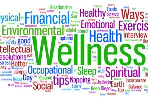 Lee más sobre el artículo Diferencias entre fitness y wellness