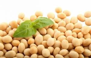 Lee más sobre el artículo Beneficios de la soja en tu dieta