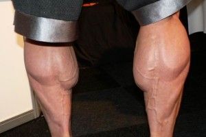 Lee más sobre el artículo La musculación de las pantorrillas en la rutina de gimnasio