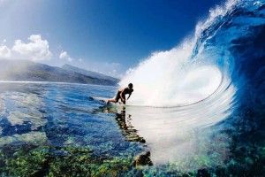 Lee más sobre el artículo Surf deporte para disfrutar todo el año