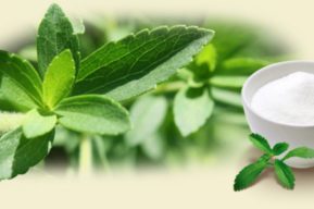 Propiedades y beneficios de la stevia