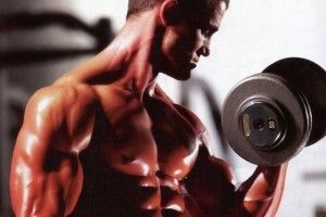 Lee más sobre el artículo Memoria muscular, los músculos se acuerdan