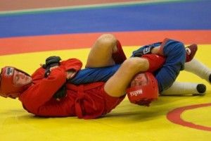 Lee más sobre el artículo Sambo, un arte marcial moderno