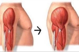 Lee más sobre el artículo Trucos para aumentar la masa muscular y no ganar grasa
