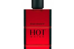 Lee más sobre el artículo Perfumes para hombres: ¿Cuál eliges?