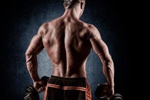 Lee más sobre el artículo Los errores que se deben evitar cuando se comienza a practicar musculación