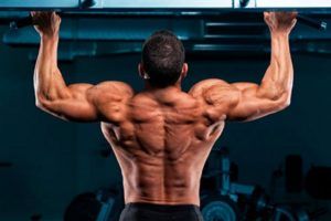 Lee más sobre el artículo Musculación natural, flexiones y dominadas