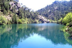 Lee más sobre el artículo Vivir la naturaleza en las sierras de Cazorla, Segura y Las Villas