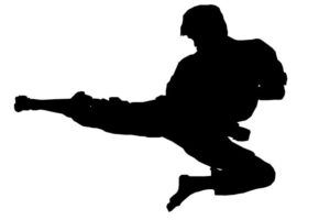 Lee más sobre el artículo Preparación física específica para Karate