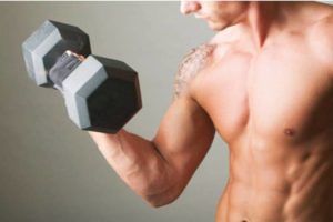 Lee más sobre el artículo Principios de la hipertrofia muscular