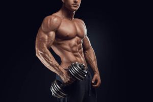 Lee más sobre el artículo Musculación, ¿cargas libres o aparatos?