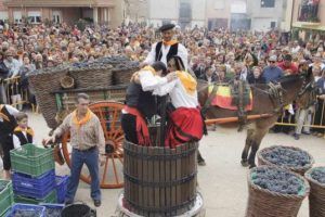 Lee más sobre el artículo Otoño, época de Fiestas de la Vendimia en España