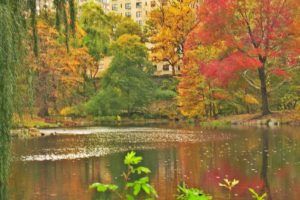 Lee más sobre el artículo Vacaciones de otoño en Nueva York