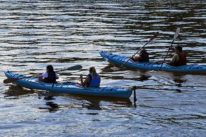Lee más sobre el artículo Piragüismo en aguas tranquilas