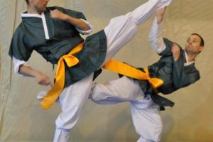 Lee más sobre el artículo Taekkyon, arte marcial coreano