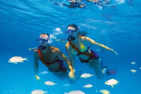 Snuba diving, una combinación de submarinismo y snorkel