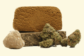 Lee más sobre el artículo Cannabis, CBD y bienestar: una visión actual desde la evidencia y el consumo responsable