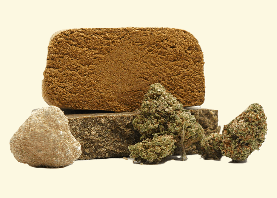 Lee más sobre el artículo Cannabis, CBD y bienestar: una visión actual desde la evidencia y el consumo responsable